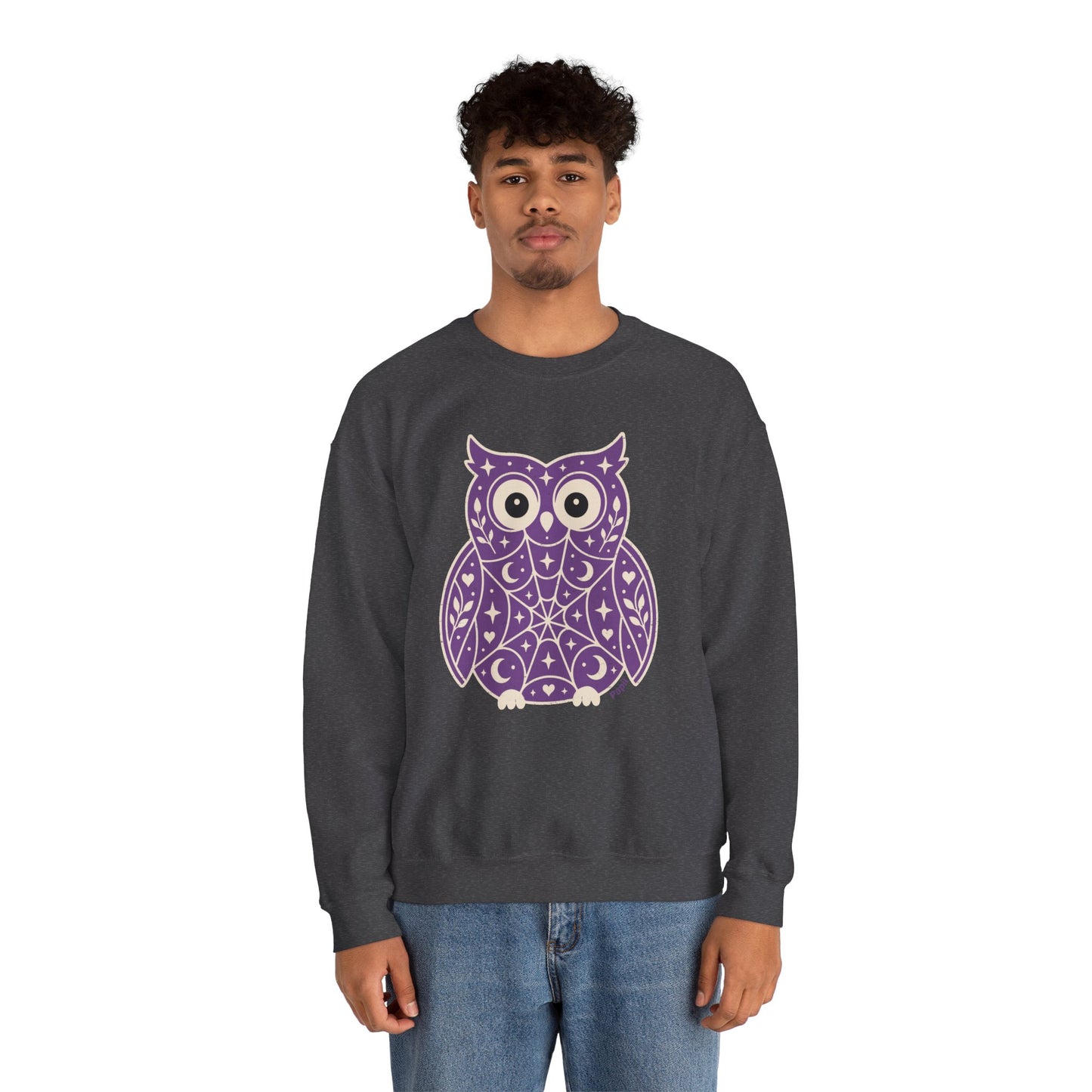 Wise & Whimsical — Folk Owl Cosy Crewneck Sweatshirt